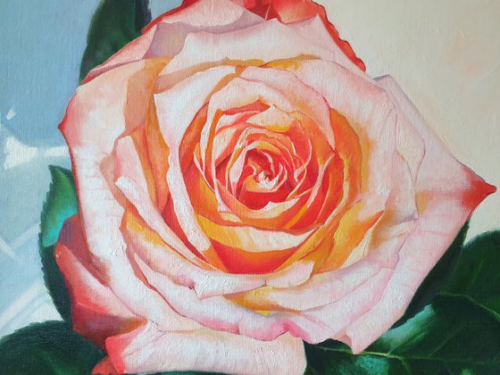 "Rose from a loved one. "  rose red flower  liGHt original painting  GIFT (2021)