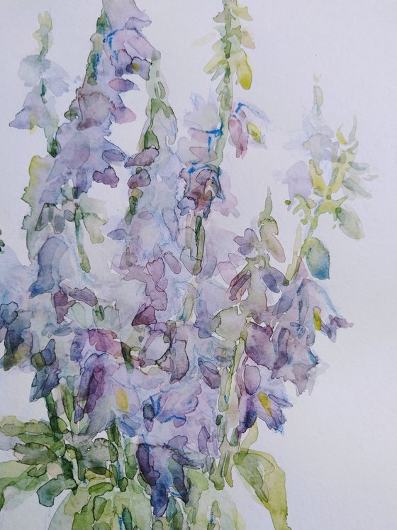 Bellflowers. Original watercolour painting.