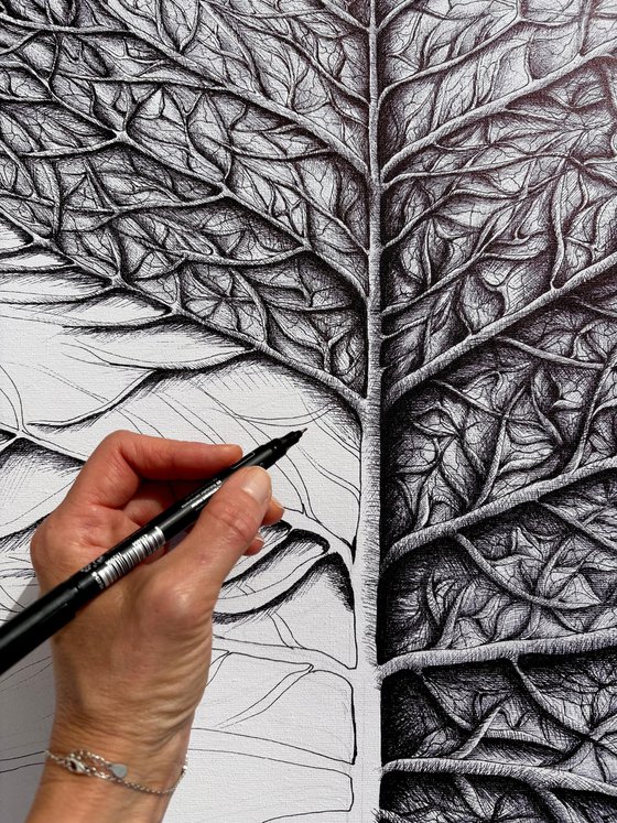 THE LIFE OF A LEAF