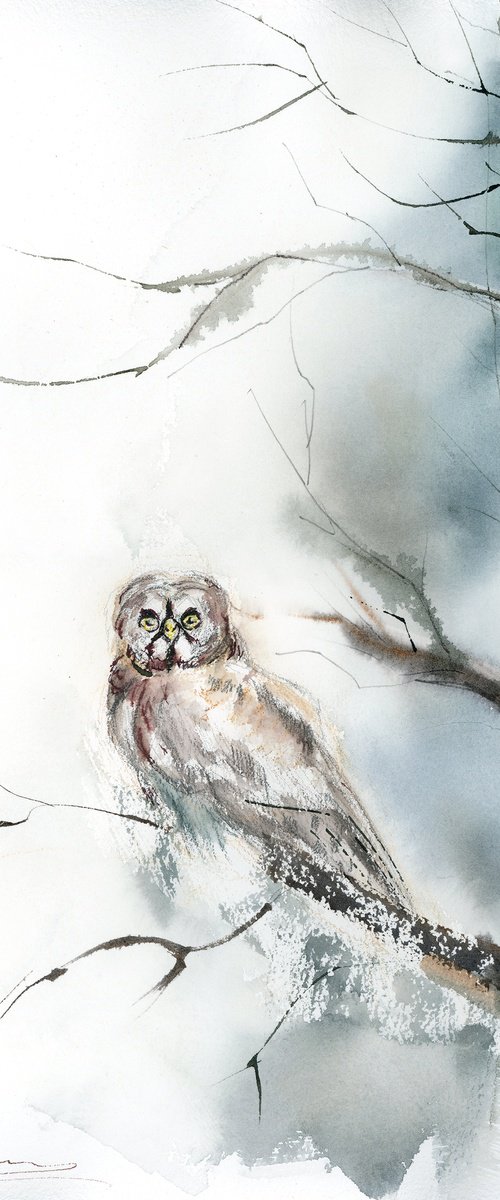 Owl in the Frosted Silence by Olga Tchefranov (Shefranov)