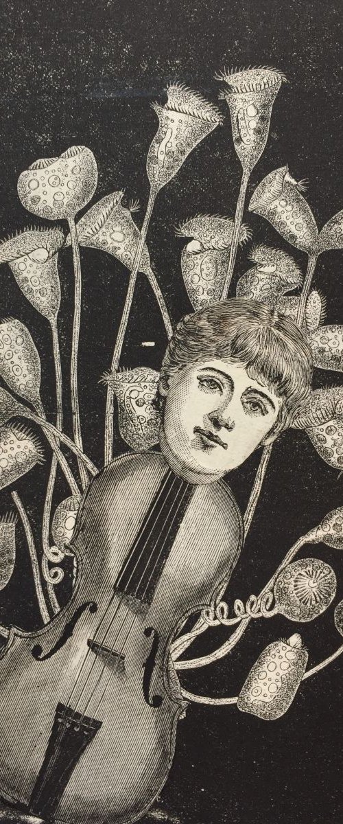 Music by Tudor Evans