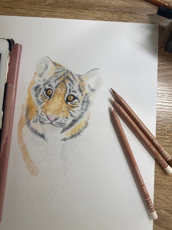 Tiger no.3