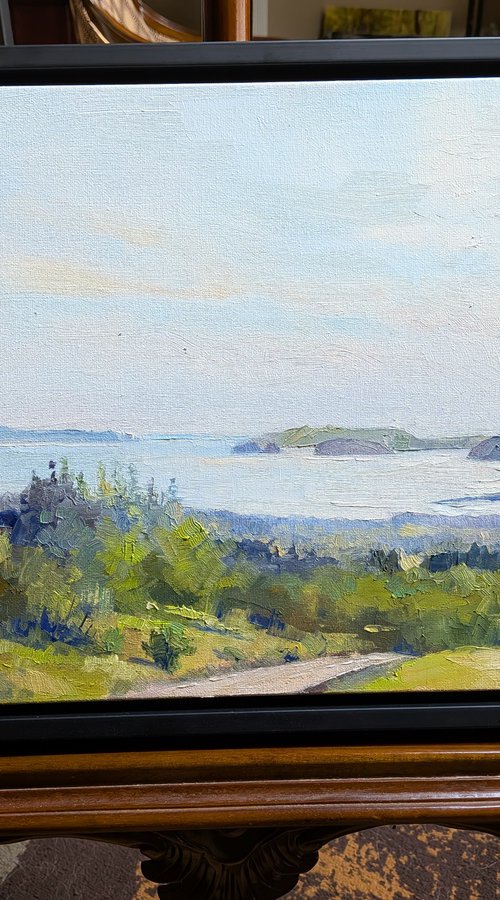 Shimmering light, plein air 2025 by Alexander Koltakov