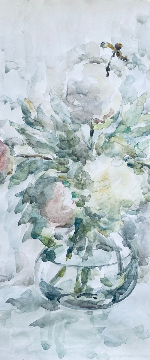 Peonies. Watercolor painting by Elena Klyan