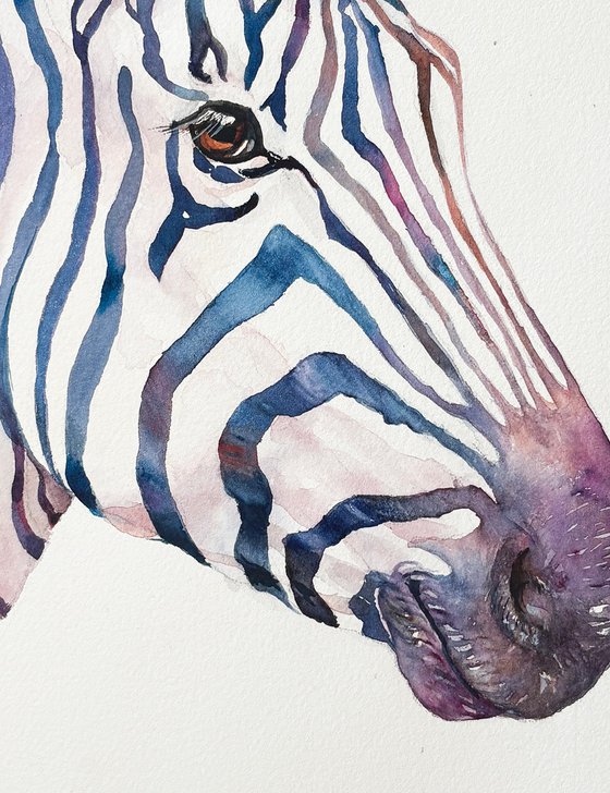 Blue Bjorn_Zebra