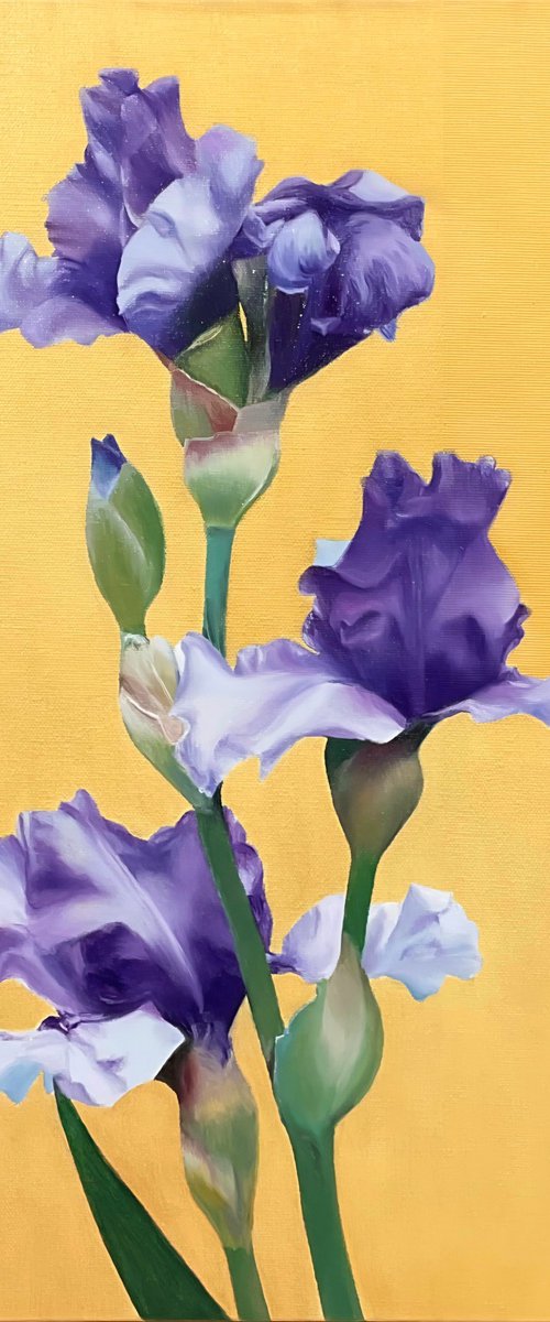 Blue Irises by Alla Kallass