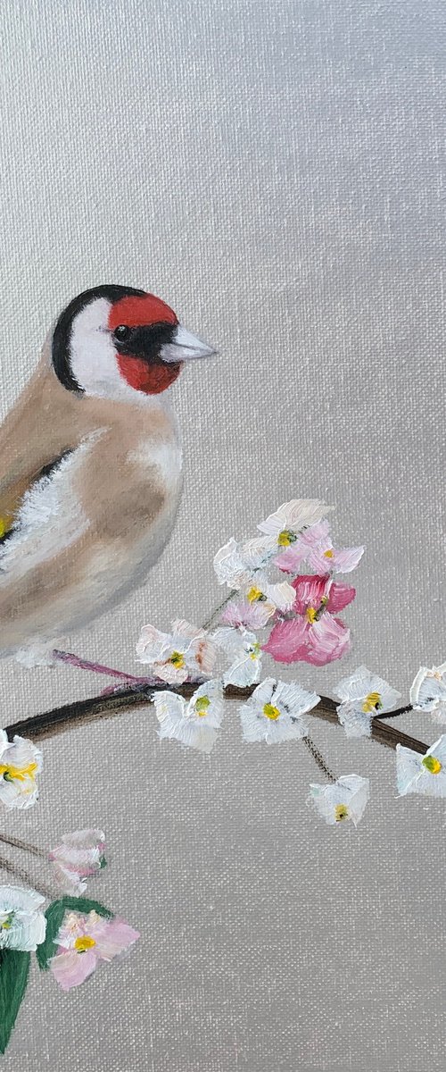 Goldfinch and Cherry Blossom on Silver by Laure Bury