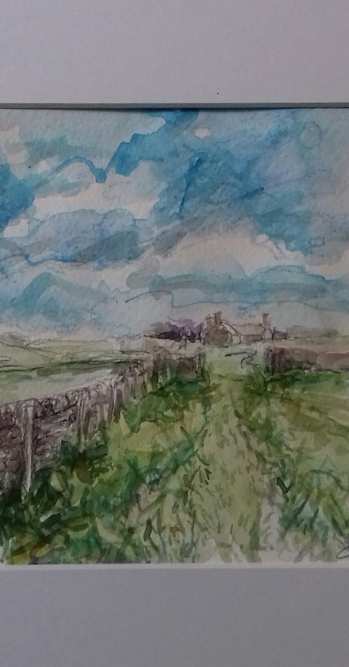 Pennine Farm by Ann Kilroy