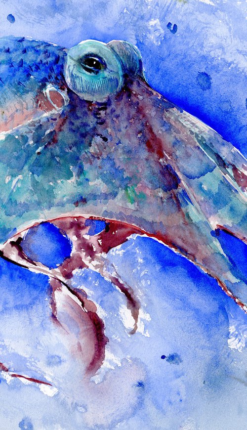 Octopus by Suren Nersisyan