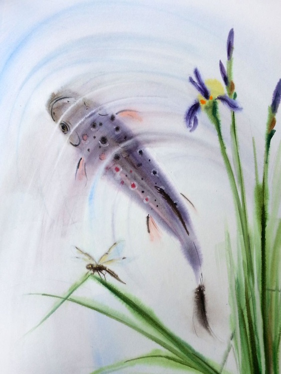 Brown Trout Trout Watercolor Trout Painting Artfinder