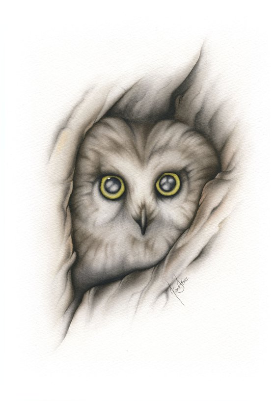 Hidden - Owl watercolor painting