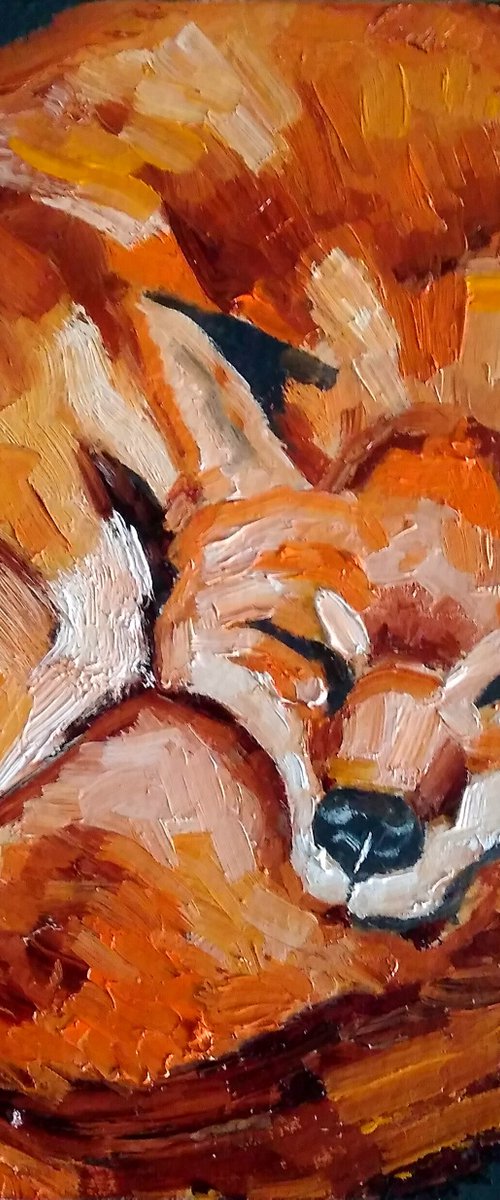 Sleeping Fox 2 by Yulia Berseneva