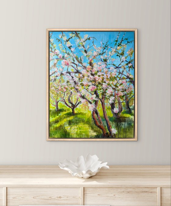 Apple orchard 1
