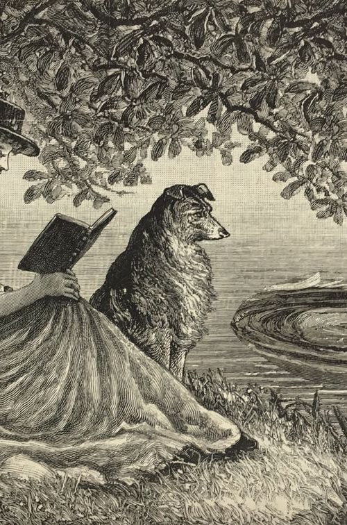 The Whirlpool by Tudor Evans