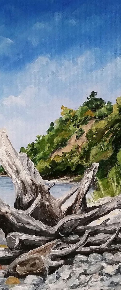 Landscape - Uprooted by Katrina Case