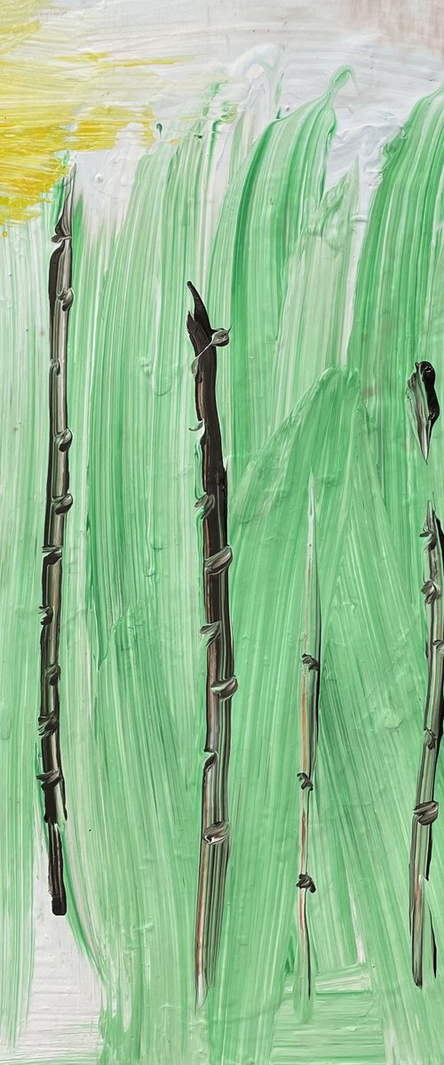 Bambù by Mattia Paoli