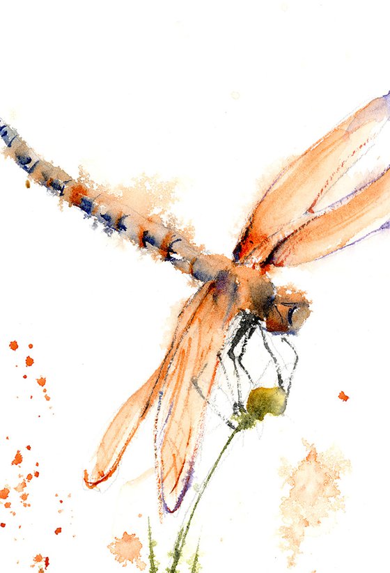 Dragonfly