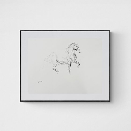 Equine Nude 30a