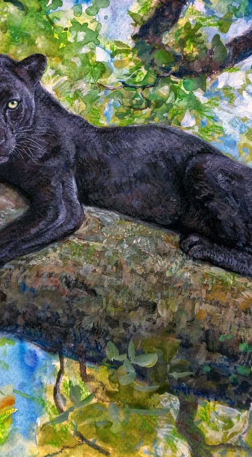 Black panther by Gabriel Hermida