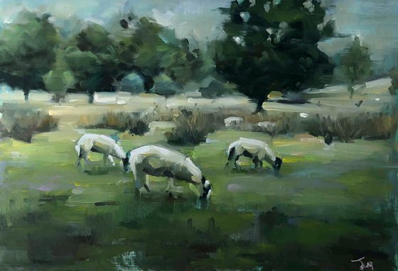 A Flock At Rest