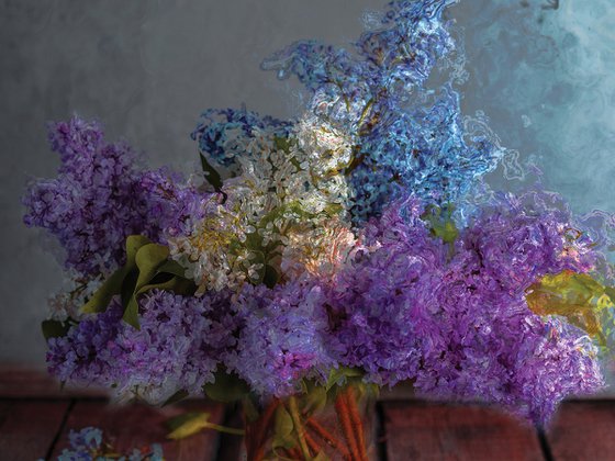 Lilas 2
