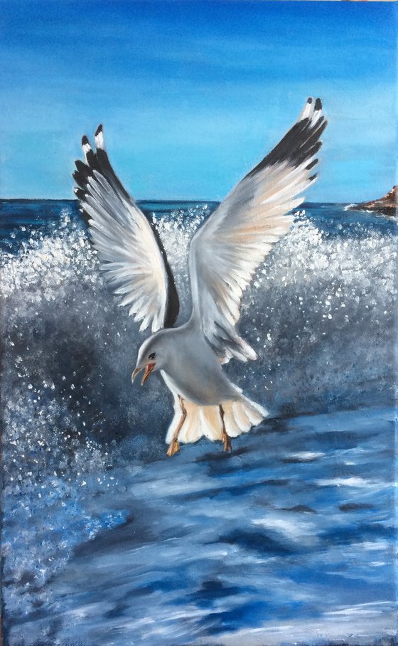 Seagull in  Sunrays