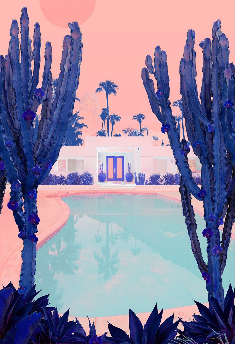 Impressionistic Photograph , Cactus Days By Nadia Attura, 20 X 28, Artwork For Sale On Artfinder