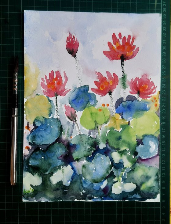 Crimson water lilies 2