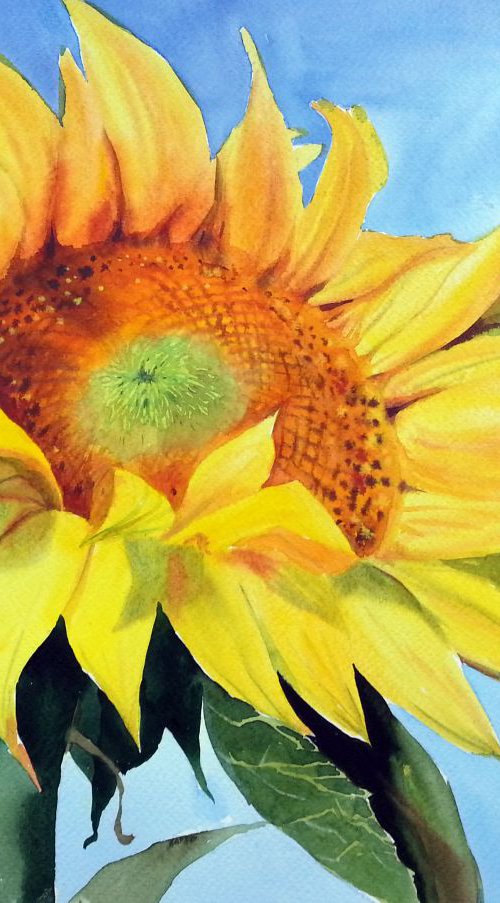 Bright Sunflower by Olga Beliaeva Watercolour