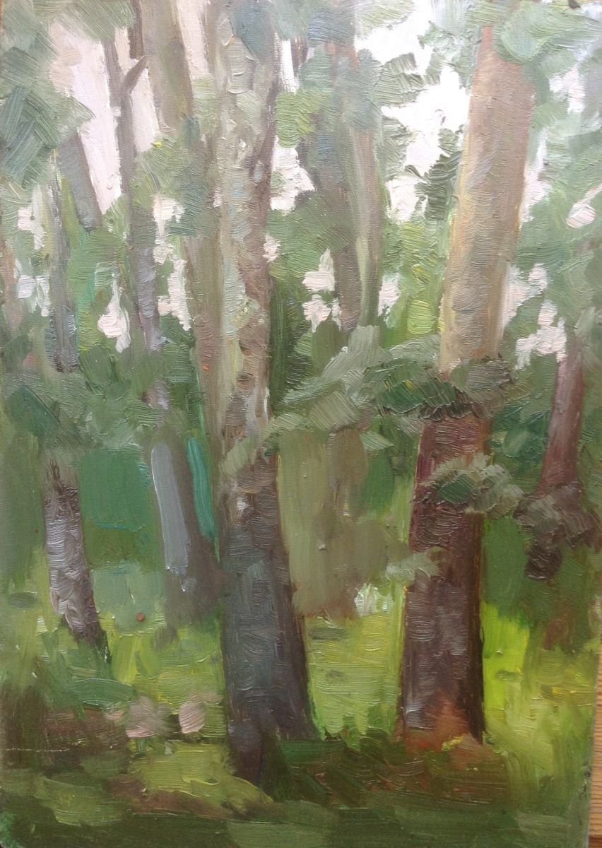 Poplars (etude) by Nata New