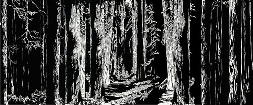 Dark Forest by Elif Duman