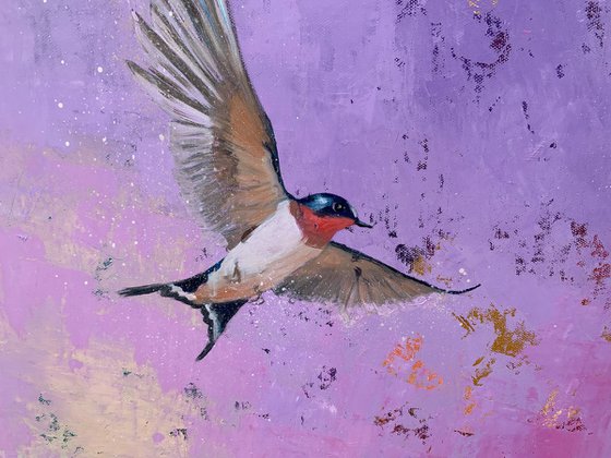 Swallows and Butterflies