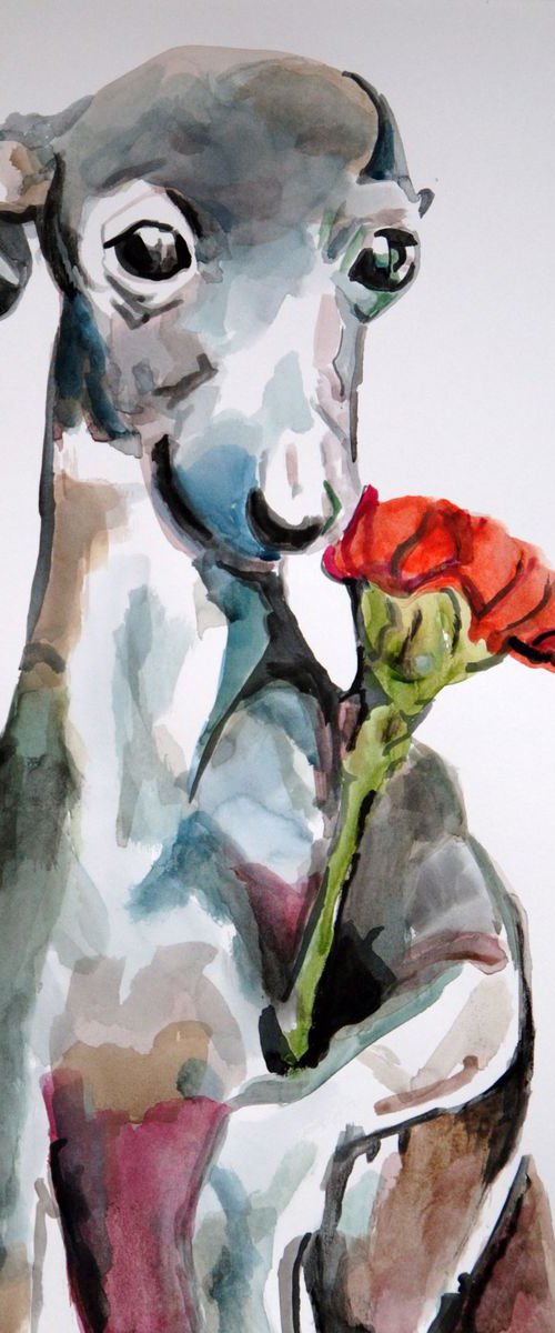 Dog with flower / 42 X 29.7 cm by Alexandra Djokic