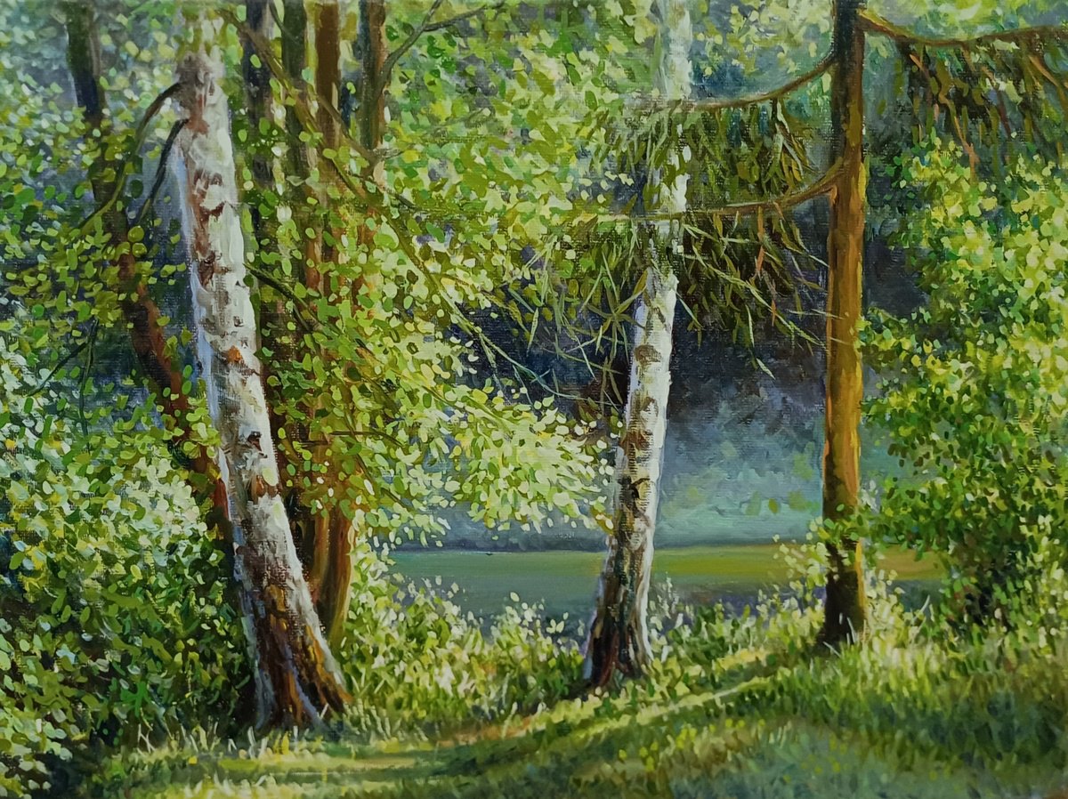 Photorealistic Landscape Oil Painting By Valentinas Yla, 16 X 12", In The Silence Of The Forest, Original Artwork