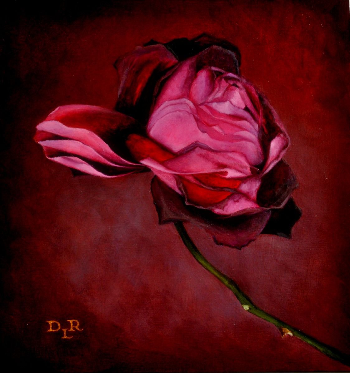 Photorealistic Botanical Oil Painting By Daniela Roughsedge, 11 X 11, Burgundy Rose, Original Artwork