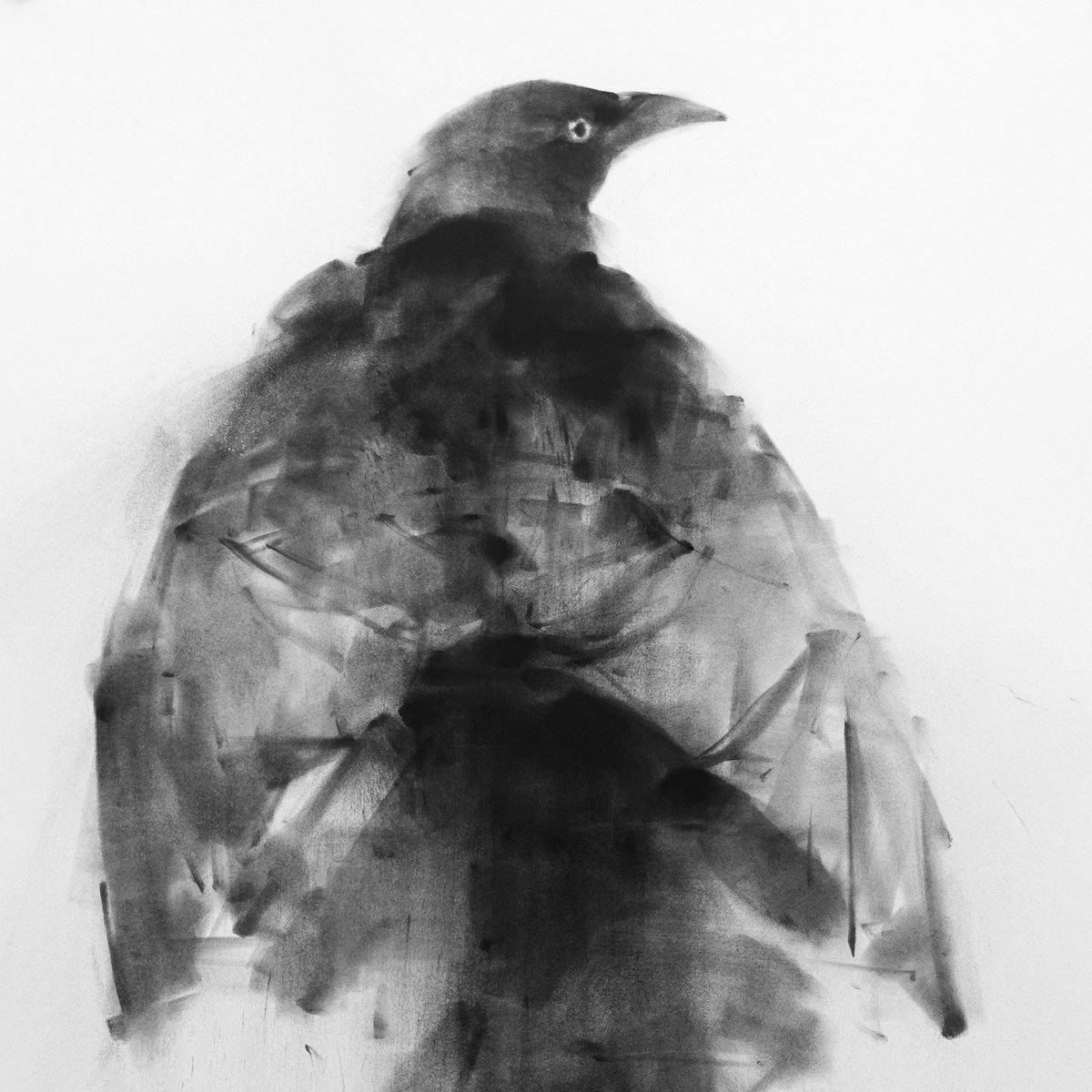 Blackbird 02 by Tianyin Wang