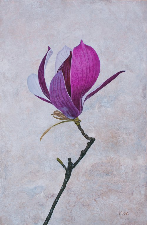 Magnolia Blossom by Dietrich Moravec