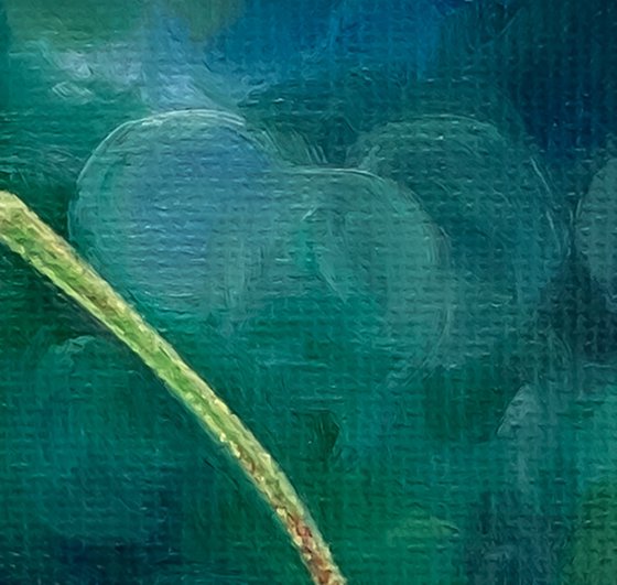 Summer Cherries