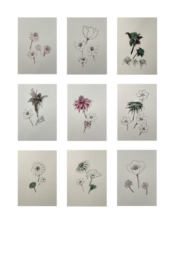 Floating flowers.