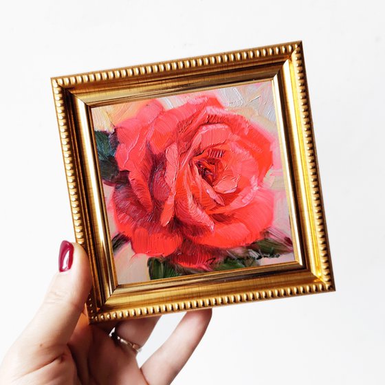 Red rose