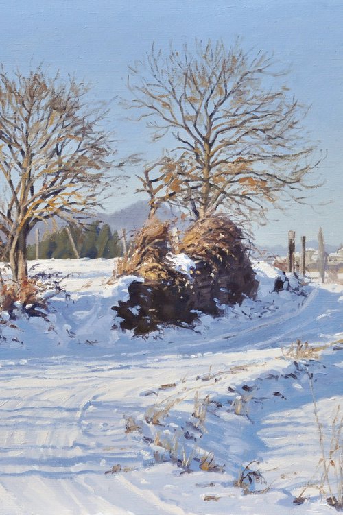 Country lane under the snow by ANNE BAUDEQUIN