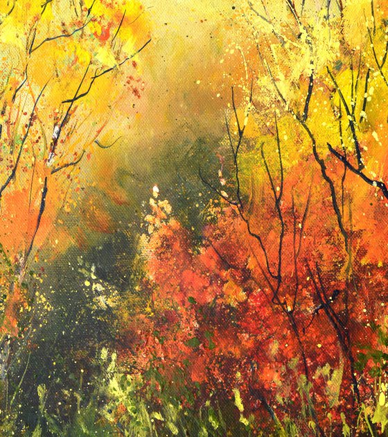 Whispers of autumn light