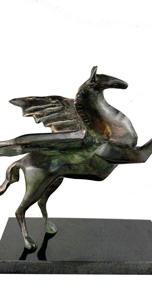 Pegasus by Toth Kristof