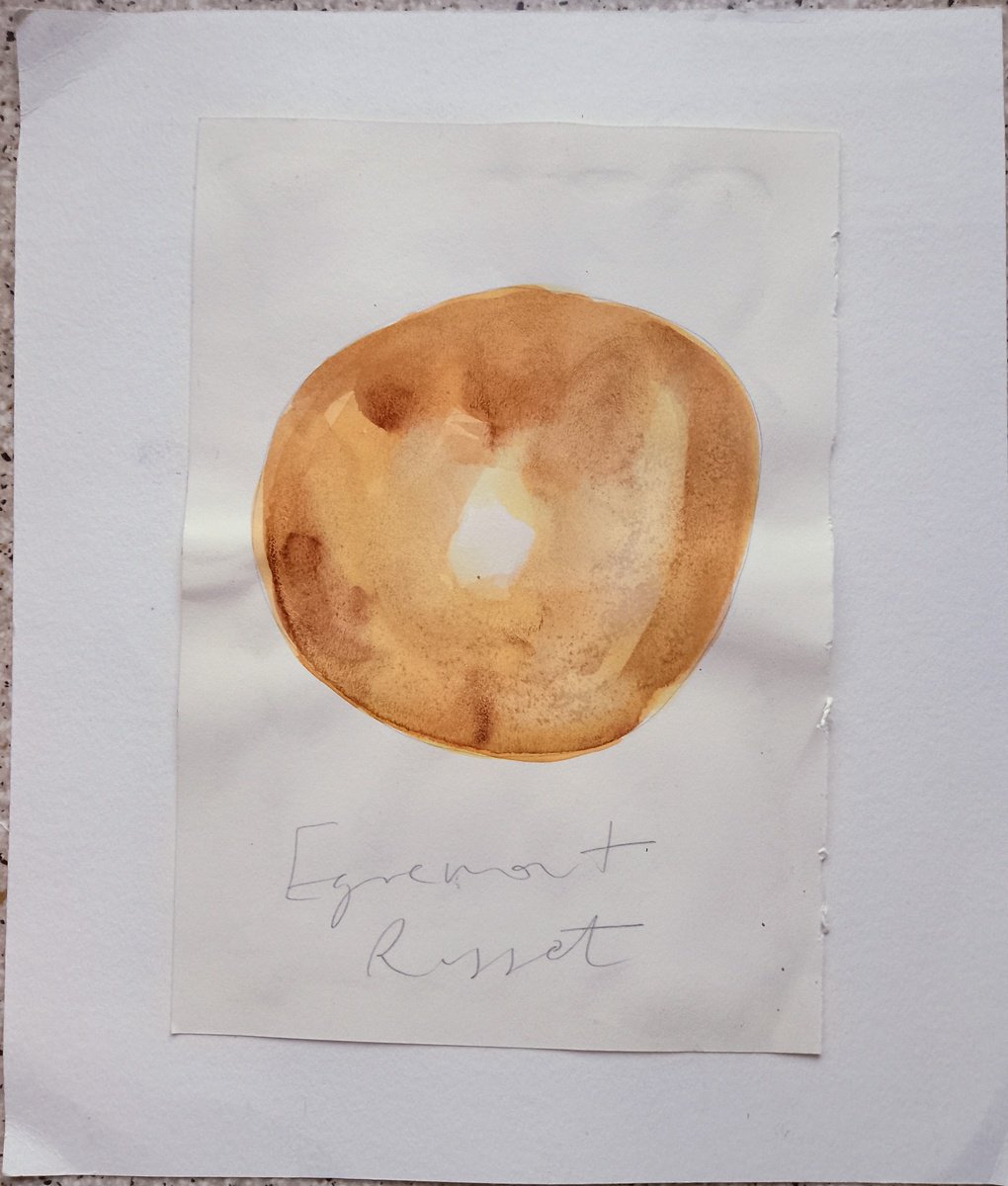 Ergemont Russet apple by Hannah Clark