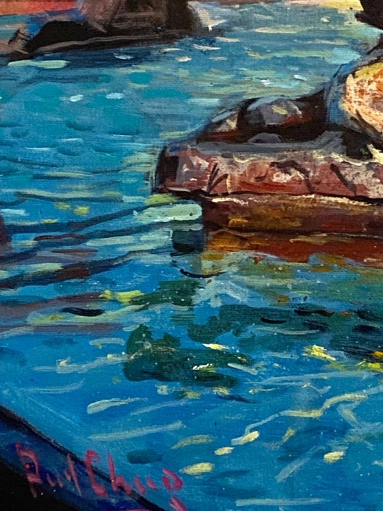 Symphony of Light and Water