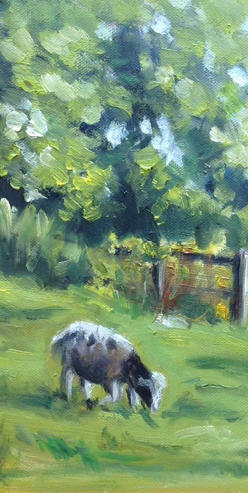 Sheep in a field by Louise Brown