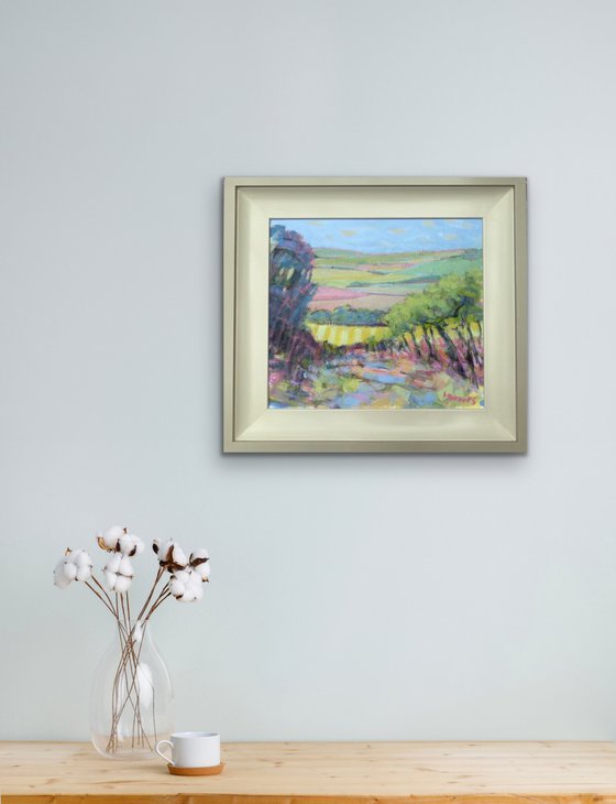 Vineyard Vista