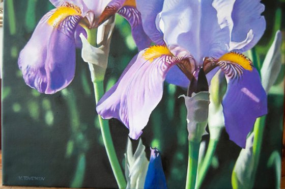 Iris, Flower painting