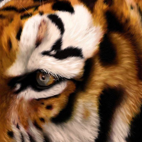 Bengal Tiger Digital Art