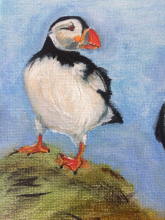 Bird portrait of couple puffins - Gift idea for bird lover